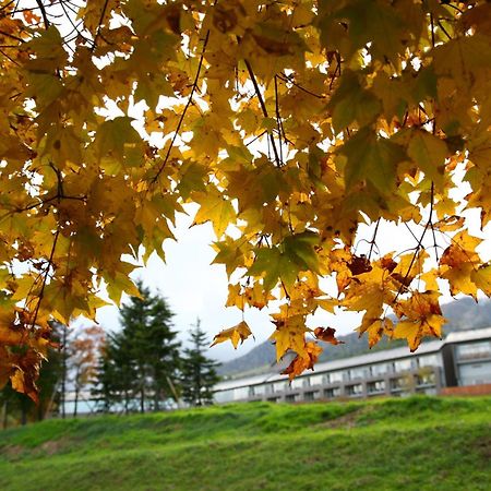 Furano Hotel Εξωτερικό φωτογραφία
