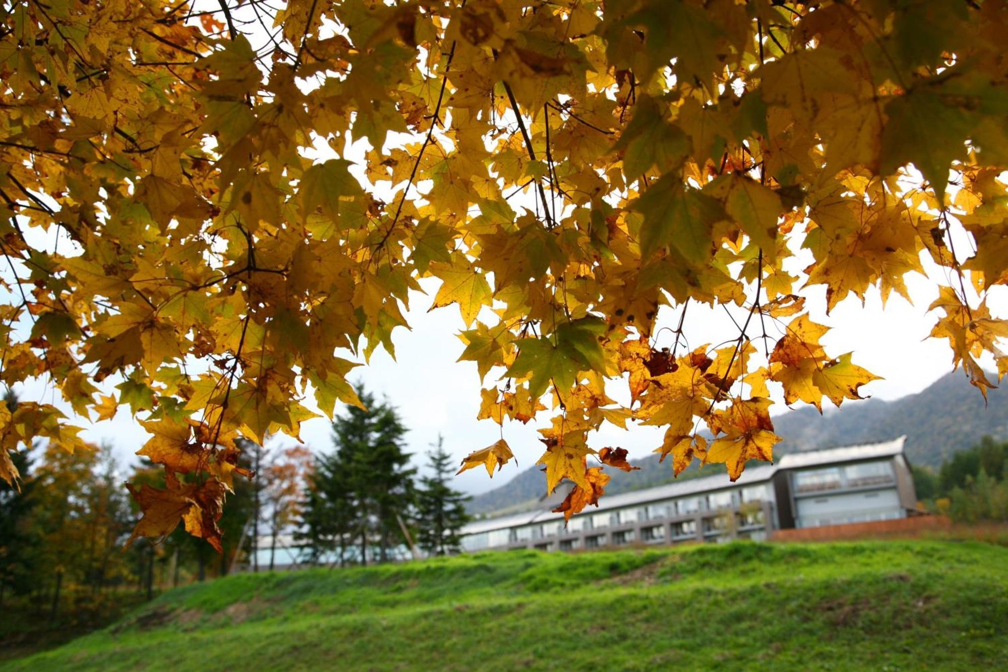 Furano Hotel Εξωτερικό φωτογραφία